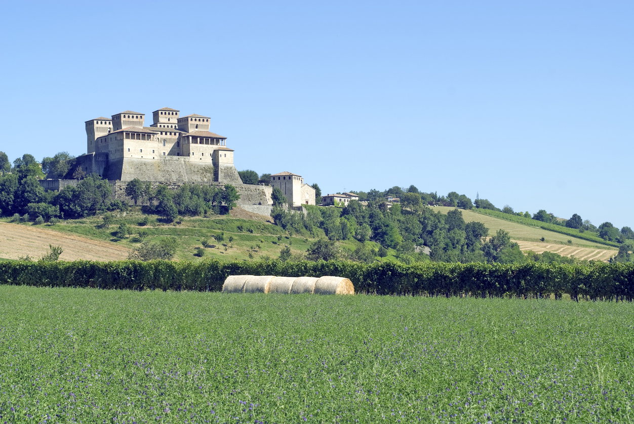 Exterior of the castle of Torrechiara (Parma, Emilia-Romagna, Italy) vineyard and meadow in a bright summer morning under a blue clear sky.