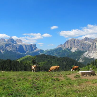 Dolomites Hiking: A Fantastic Family-Friendly Trail in the Val Badia
