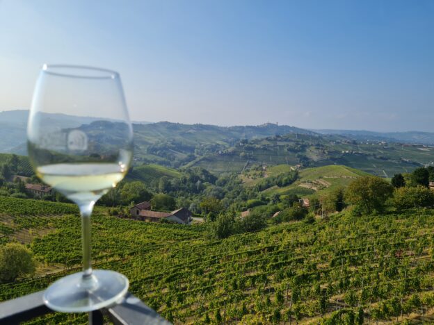 Wine tasting in Piedmont